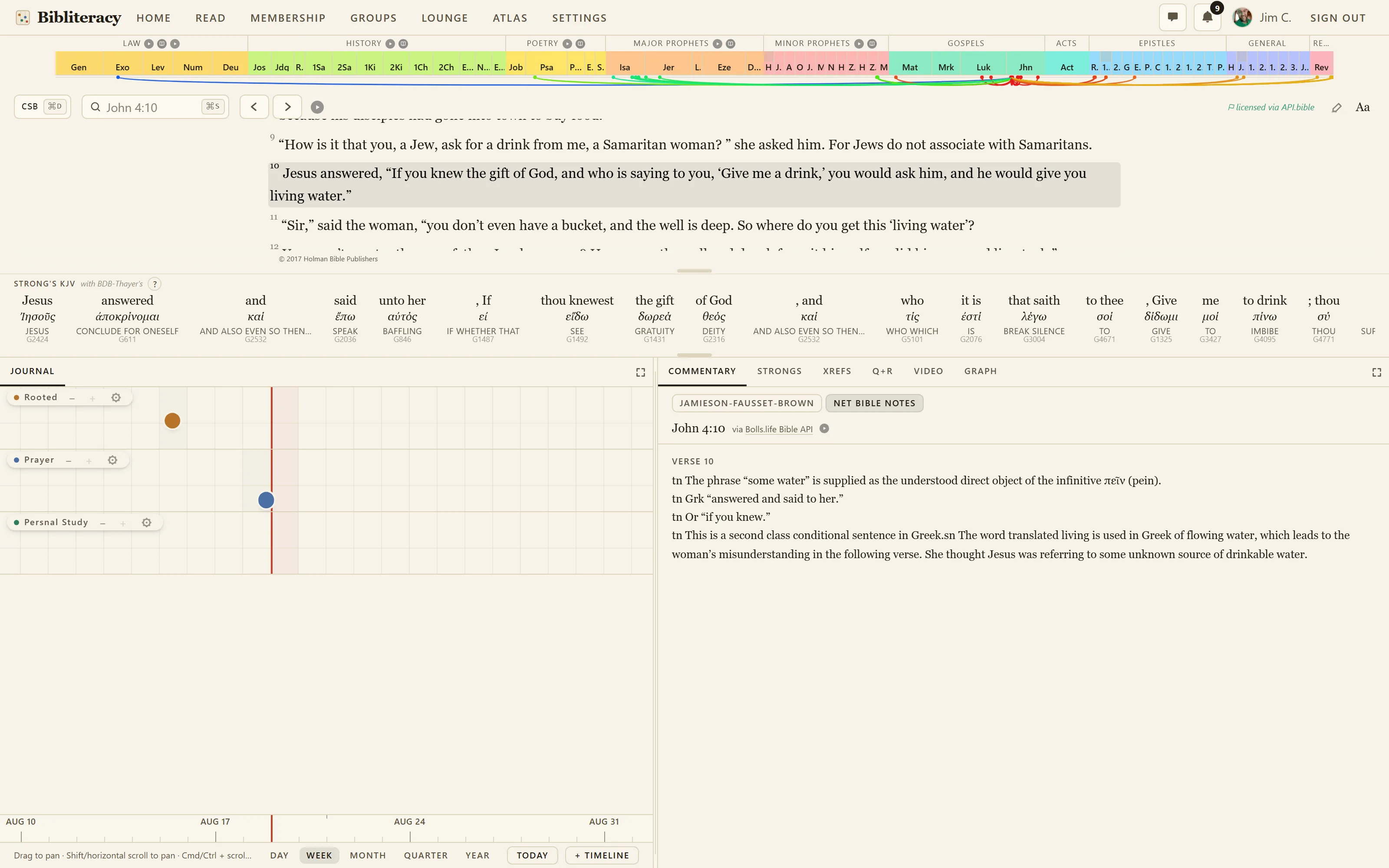 The Bibliteracy workspace: the reader in the middle of the screen, the Strong's Concordance bar beneath it, and the Journal and study-tool panels side by side below.